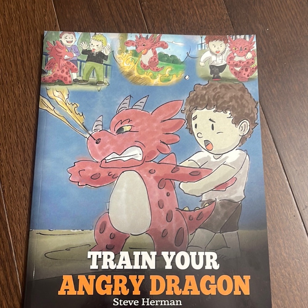 Brand new Train Your Angry Dragon kids book